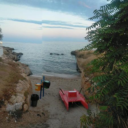 Faccia di Trippa di Monte Casa Punta D'Oro 빌라 외부 사진