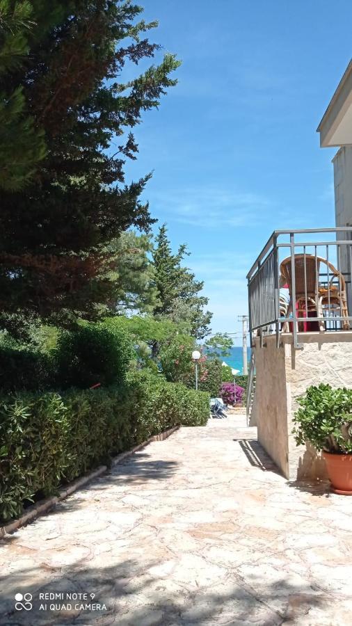 Faccia di Trippa di Monte Casa Punta D'Oro 빌라 외부 사진