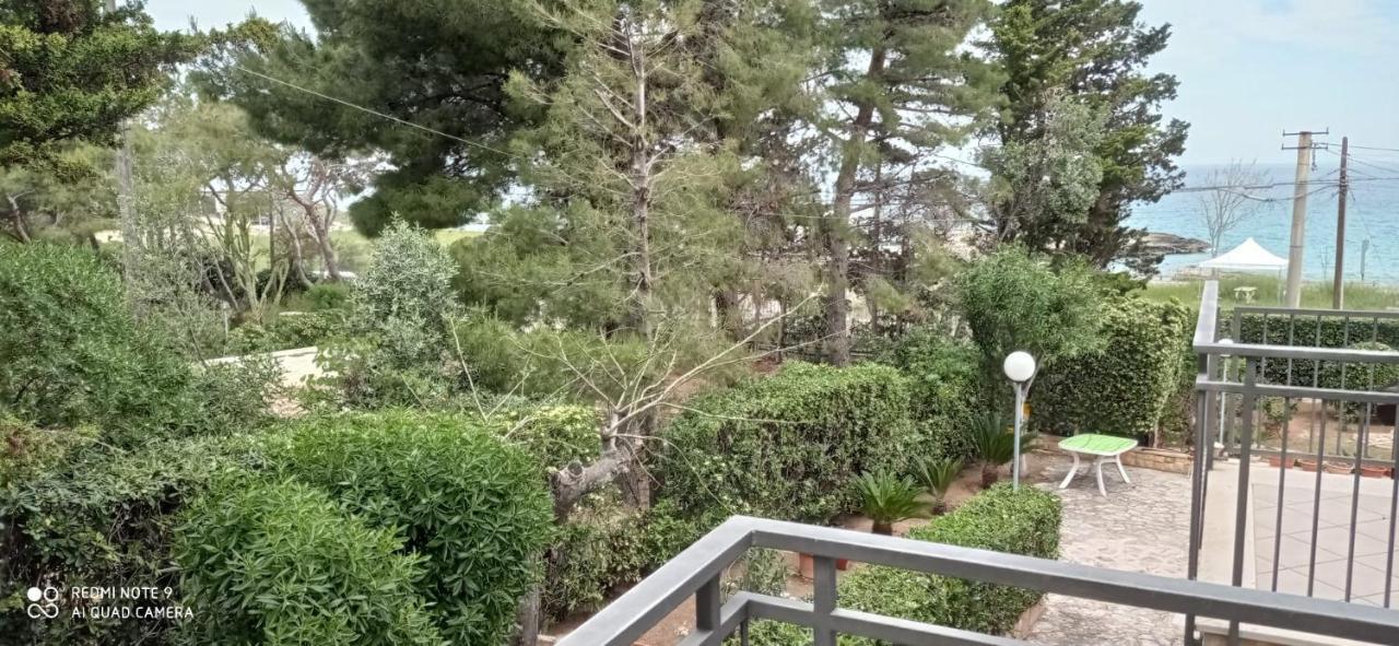 Faccia di Trippa di Monte Casa Punta D'Oro 빌라 외부 사진